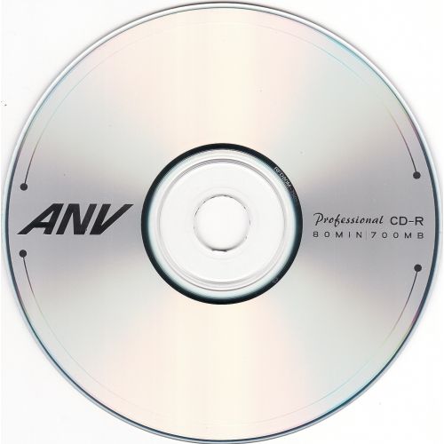 ANV CD-R 80 (bulk 50) | Купити в інтернет магазині