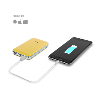 УМБ ColorWay Power Bank 8000 mAh Gold (CW-PB080LPA2GD)