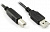 Кабель до принтера Havit 1,8 m USB 2.0 Am/Bm | Купити в інтернет магазині